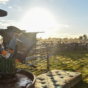 Device in holder, ready for the day