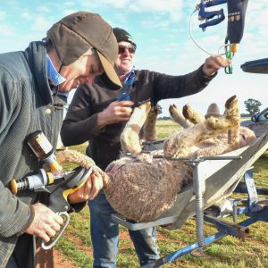 Jodie using the device