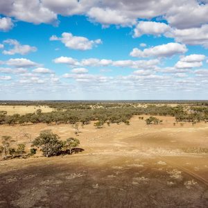 Queensland Sheep Country Isisford