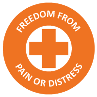 freedrom-from-pain-or-distress.png