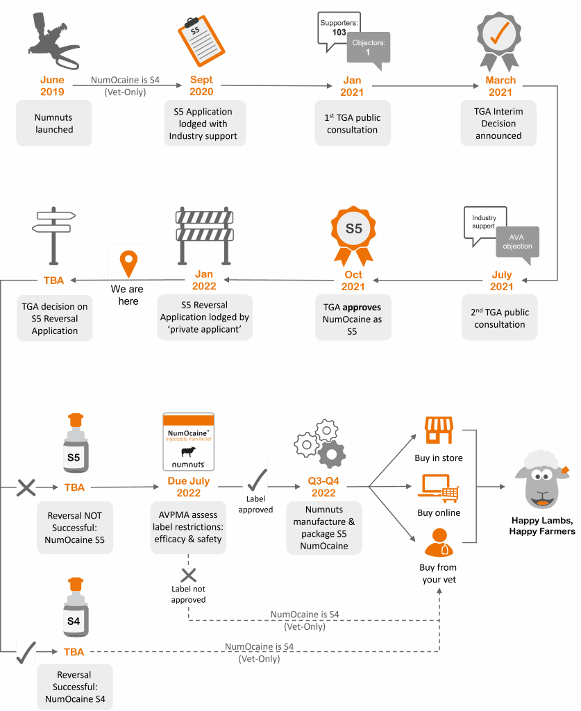 NumOcaine Scheduling Process