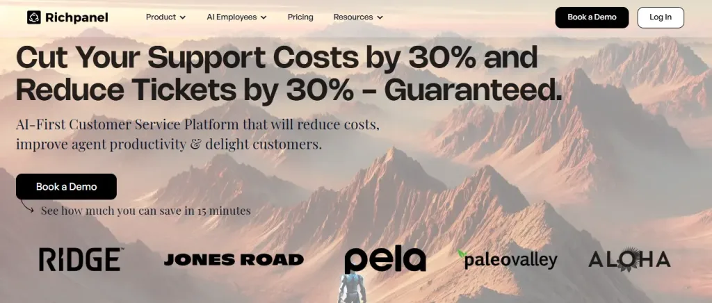 Richpanel - Best for ecommerce teams managing high volume of post-purchase support